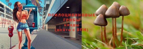 прущий лед Богданович