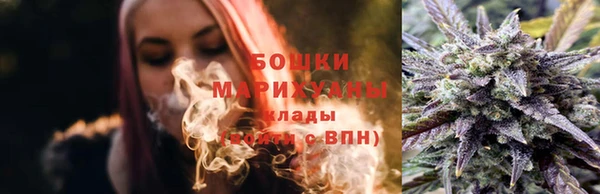 прущий лед Богданович