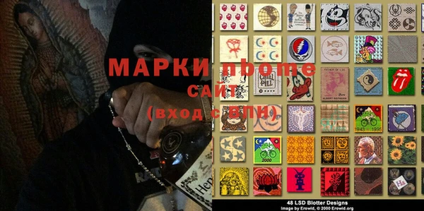 прущий лед Богданович