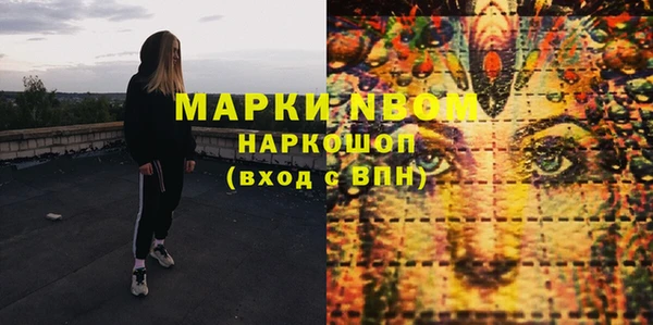 прущий лед Богданович