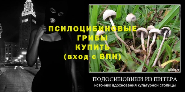 прущий лед Богданович