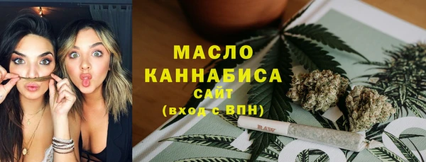 прущий лед Богданович