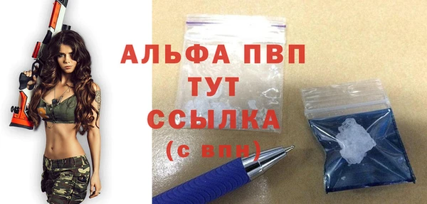 прущий лед Богданович