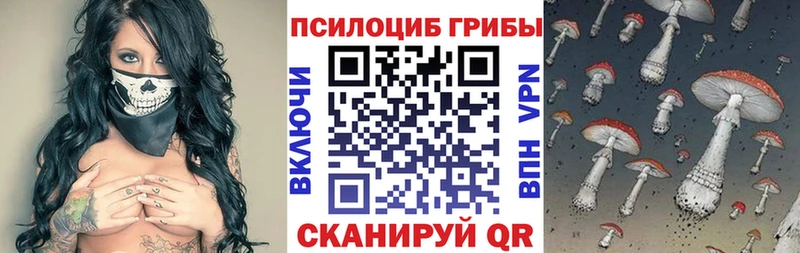 MEGA ССЫЛКА купить наркотики сайты Углегорск Галлюциногенные грибы MAGIC MUSHROOMS